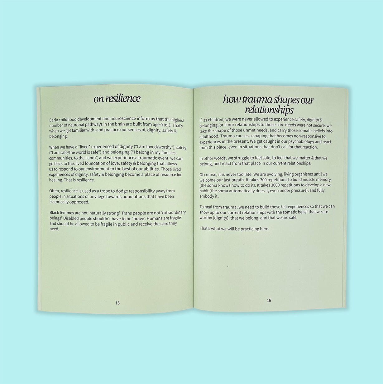 Open pages from Polar Embassy's queer relationship healing workbook: "on resilience" and "how trauma shapes relationships".