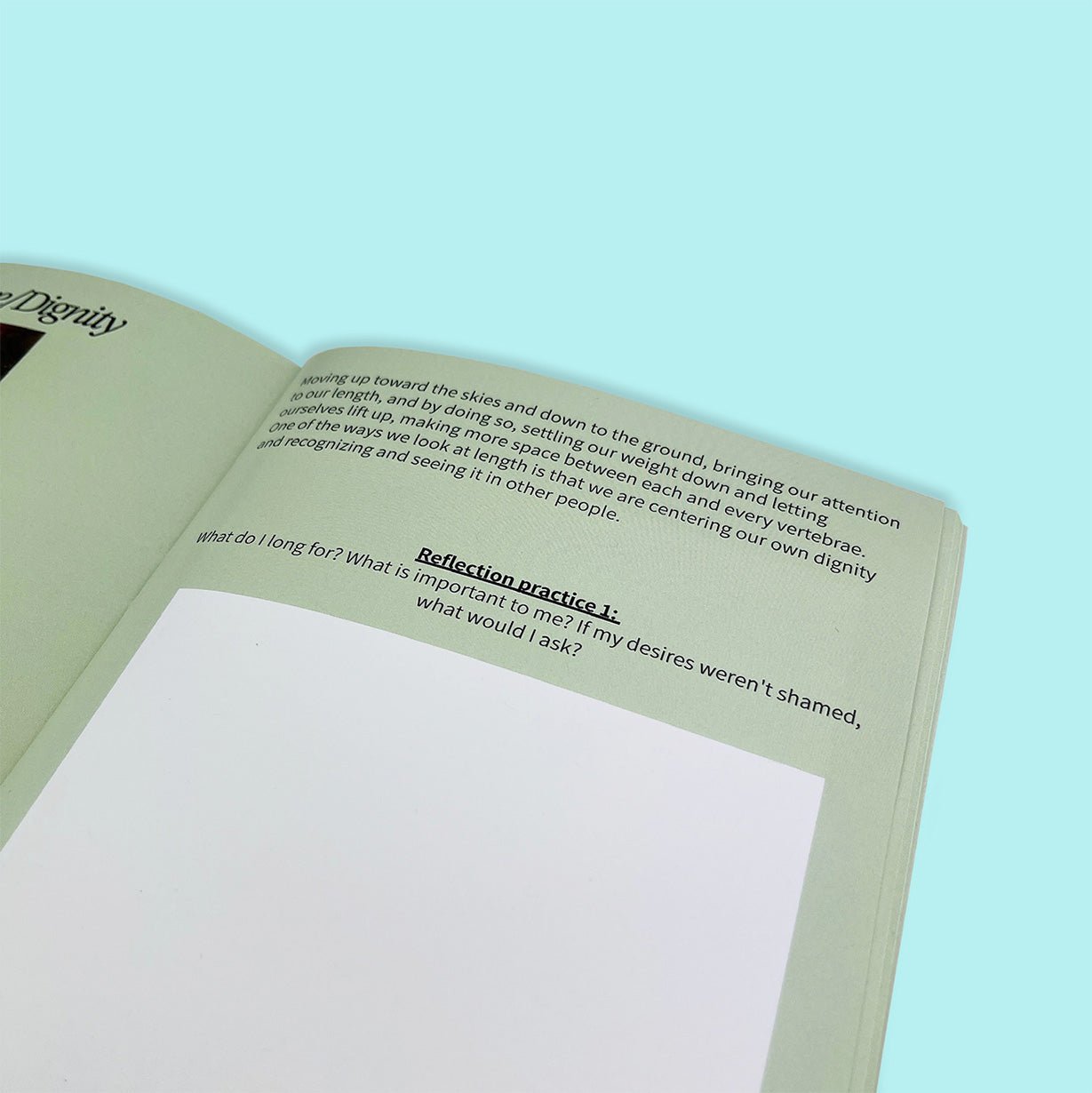 "My Queer Relations" workbook from Polar Embassy with a reflection exercise about desires and priorities on the page.