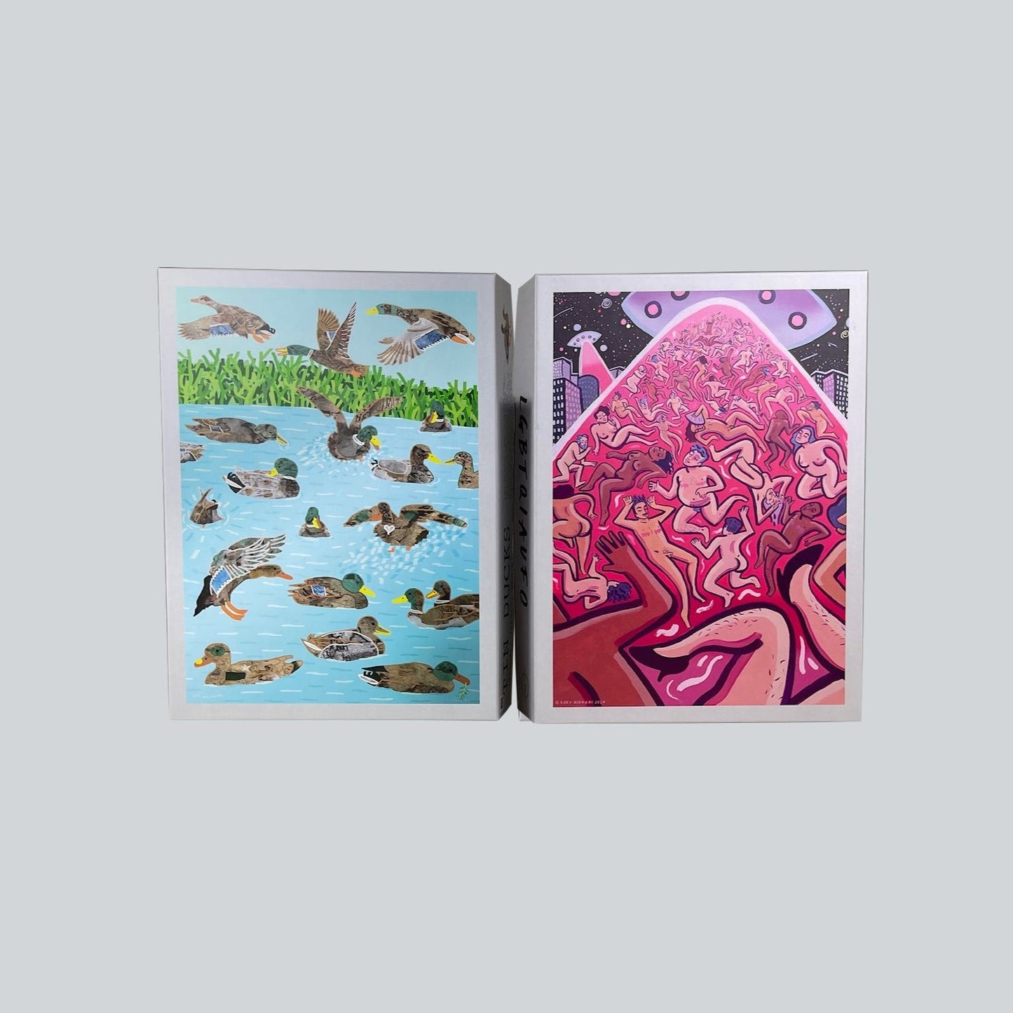 Two trans-affirming puzzles: ducks in a pond & queer community rescued by aliens, against a gray background.