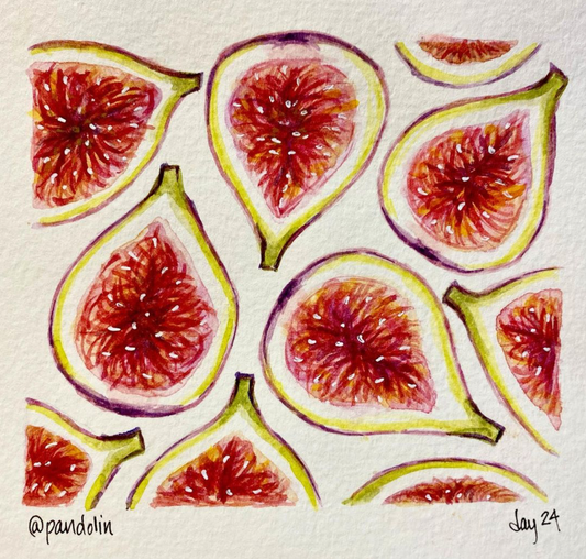 Watercolor painting of figs cut half open. They look rich and delicious.