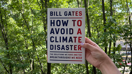 Book Report V: How to Avoid a Climate Disaster
