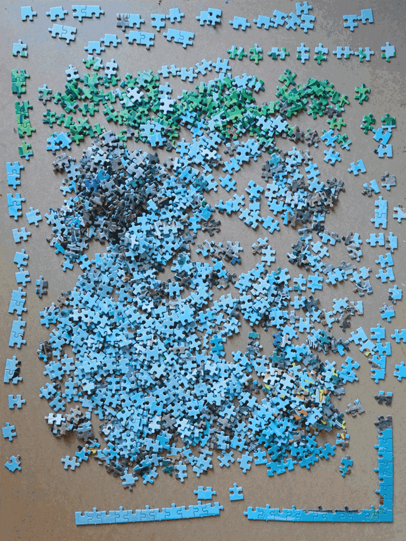 A 1.000-piece puzzle slowly coming together in a GIF. The puzzle shows trans*, intersex and non-binary mallards in a duckpond. The ducks have a mixture of male and female plumiage.