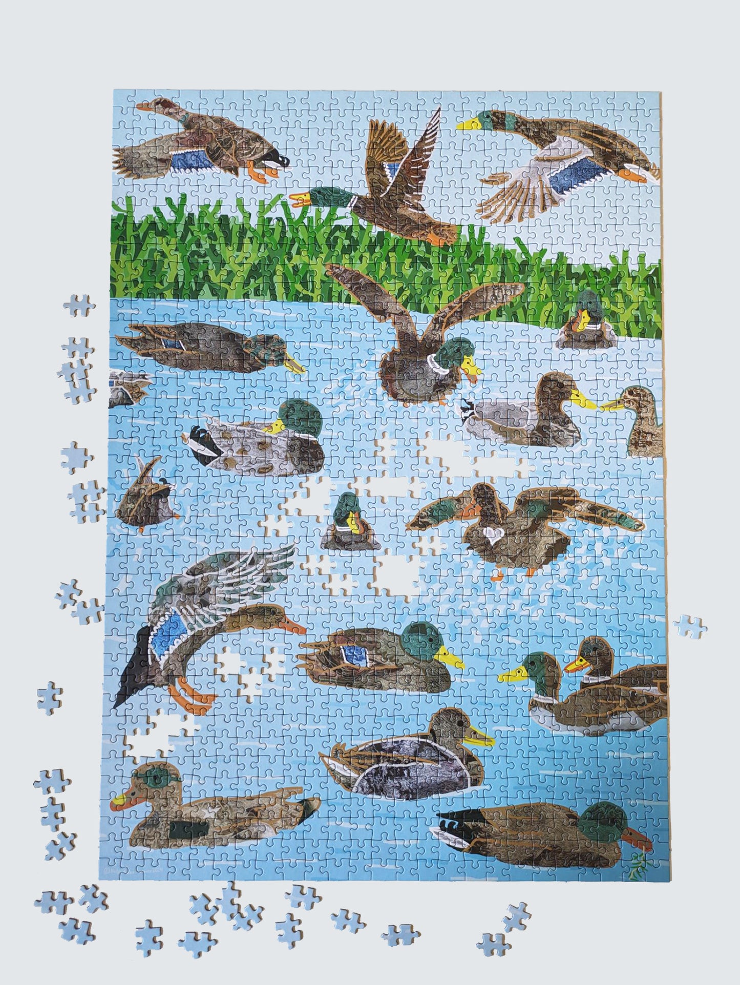 Several pieces remain from a 1000-piece puzzle showing trans* inter* and non-binary ducks in a pond.