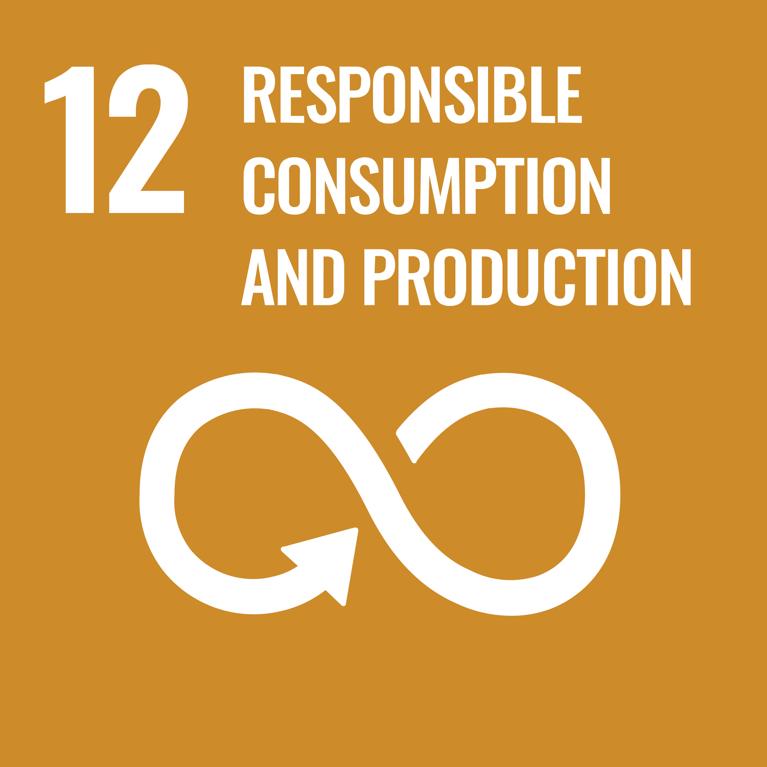 UN Sustainable Development Goal 12. "Responsible Consumption and Production" with an infinity sign on a light brown background.