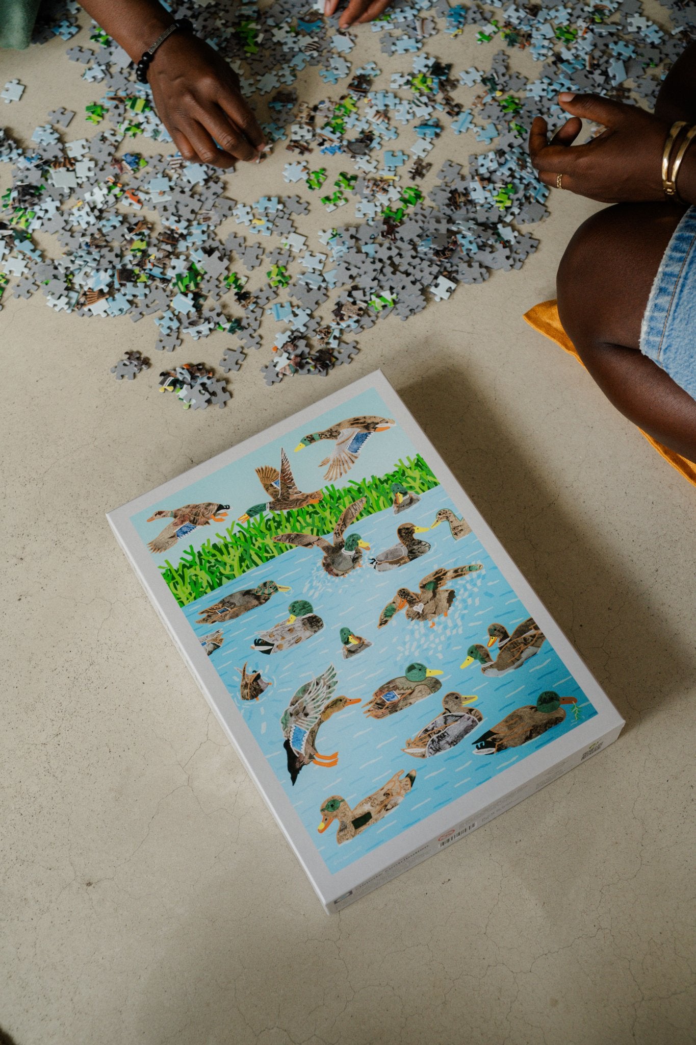 Starting the TIN Ducks 1000-piece puzzle, pieces beside the box, art by Katja Anton Cronauer.