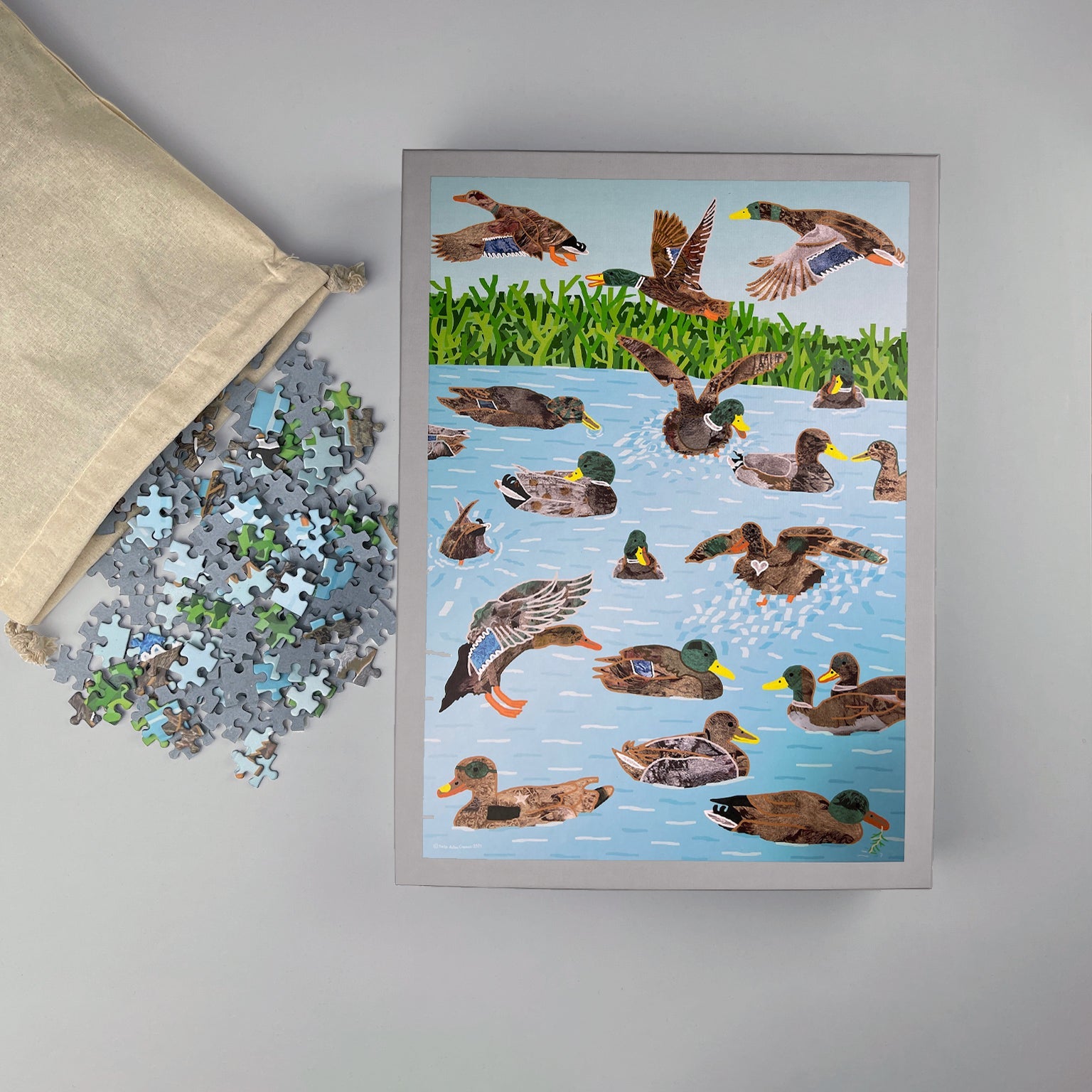 1000-piece jigsaw puzzle of trans*, inter*, non-binary ducks in pond, pieces spilling from cotton bag beside box.