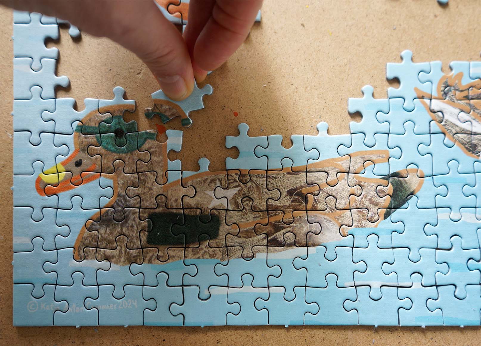 Hand places a piece in a jigsaw puzzle 1000 pieces. A duck has an eye patch in plumage. Art by founder of trans*fabel.